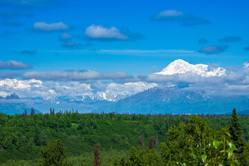 Fototapeta premium Mt. Denali landscape