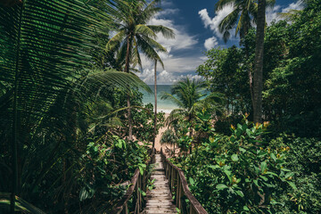 Pathway in tropical jungle. Way to beach Palm trees, white sand and blue sea, perfect summer vacation landscape or holiday banner. Beautiful tourism destination Phuket