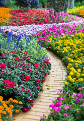 path leading through a flower garden