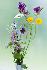Bouquet of European spring flowers, plucked on a meadow in May containing marguerite, cardamine pratensis, carpet bugle, columbine flower, forget me not, lamium and ranunculus.