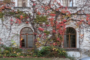 Fototapeta na wymiar Park scenery and arched windows dyed with colorful fallen leaves on the walls