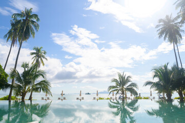 Fototapeta premium Beautiful view of swimming pool with Green tropical garden in cozy resort, phi phi island, Thailand