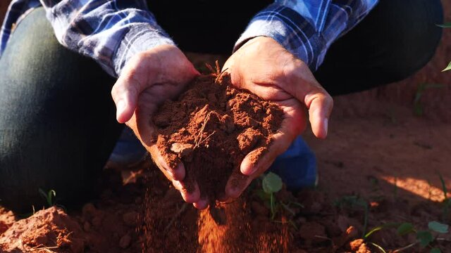 The hands of the farmers scooping up the rich, crumbly soil