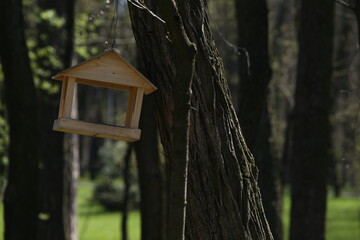 wooden bird feeder in the park