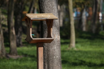 wooden bird feeder in the park