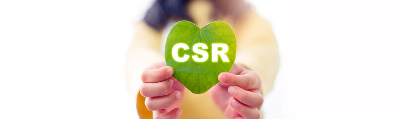 kid girl hand holding young green leaf with heart shape on white isolated nature background.eco earth day.plant, Nature, energy, love, Csr, Save earth, Environment day.Banner background.Sustainable.