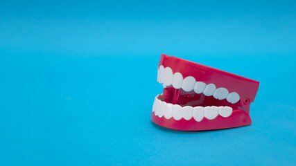 Modeling tooth and gum toys on a blue background.