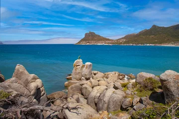 Fototapeten panaramic view on Hout Bay, the southern Harbor of Cape Town, South Africa © Uwe