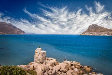 Fototapeten panaramic view on Hout Bay, the southern Harbor of Cape Town, South Africa © Uwe