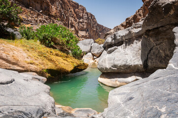 Wadi Dham Natural pools in Oman