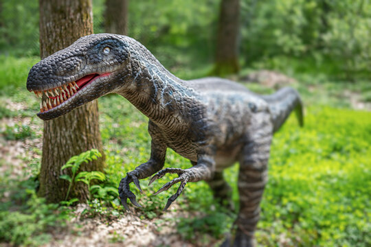 Beregovo, Ukraine - May 4, 2021: Dinosaur from Dino-Park, Dinosaur in the jungle.