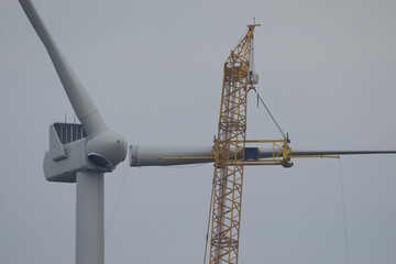 A crawler crane is hoisting a rotor blade of a new wind turbine