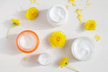 Fototapeta na wymiar Organic cosmetics with fresh yellow dandelion flowers. Herbal cosmetics, natural eco beauty skin care products, healthy lifestyle concept.