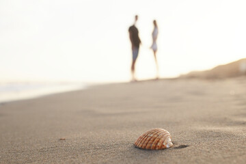 Couple in love on the beach celebrating valentines day with seashell with selective focus, summer love at sunset