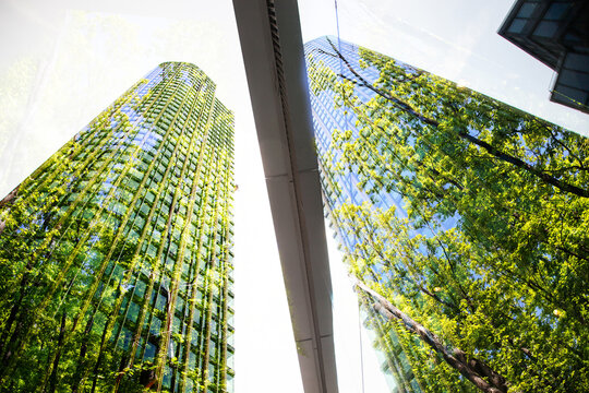 green city - double exposure of lush green forest and modern skyscrapers windows.