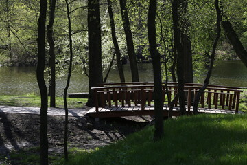 Fototapeta na wymiar wooden bridge over the stream in the park