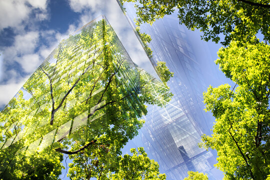 green city - double exposure of lush green forest and modern skyscrapers windows.