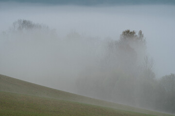 Fog on a slope by Lake Mjøsa in spring.