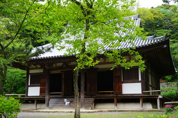 Main Hall of the Former Tomyoji Temple at Sankeien in Kanagawa, Japan - 日本 神奈川 三渓園 旧燈明寺本堂
