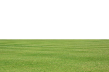 fresh green grass lawn isolated on white background