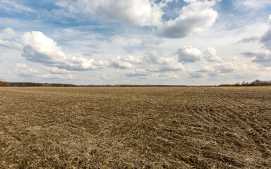 Fototapeta na wymiar Plowed agricultural field in spring