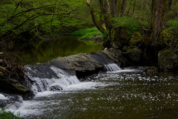Nat&uuml;rlicher Bachlauf
