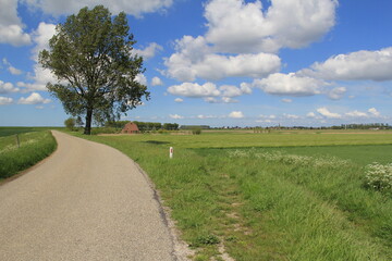 a beautiful dutch polder landscape in springtime with a road between green fields and a blue sky with clouds     