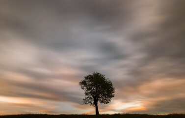 Single tree with amazing colourful and motion clouds in background