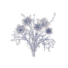 Bouquet of wild flowers in vintage style. Flowers of flax hand-painted in retro colors. Vector illustration in sketch style Isolated on white background.