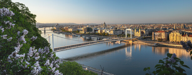 View on Budapest with Elisabeth Bridge in spring