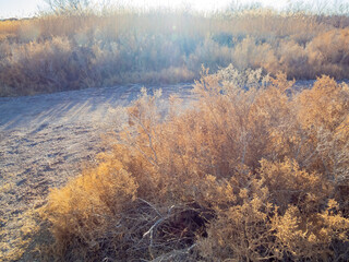 Sunny landscape of the wetlands park