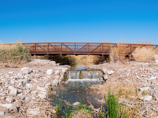 Sunny landscape of the wetlands park