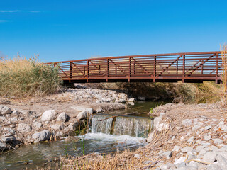 Sunny landscape of the wetlands park