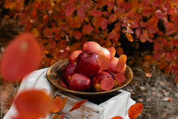 red apples in a basket