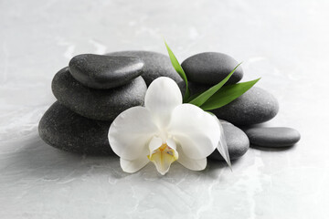 Fototapeta na wymiar Spa stones, beautiful orchid flower and bamboo sprout on light grey table
