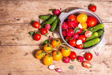 Assortment of ripe organic farmer red and yellow tomatoes, cucumbers, radish, garlic, and fresh basil leaves