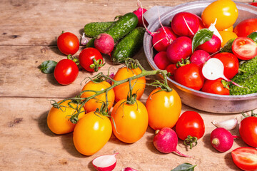 Assortment of ripe organic farmer red and yellow tomatoes, cucumbers, radish, garlic, and fresh basil leaves