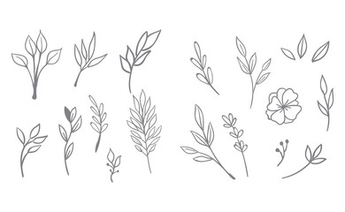 Floral and herbal ornament hand drawn designs. Leaves and branches nature doodles.