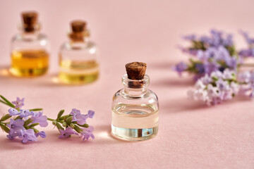 Essential oil bottle with fresh lavender on bright pink background