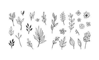Floral and herbal ornament hand drawn designs. Leaves and branches nature doodles.