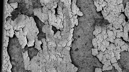 Rough black and white wall texture with strength and high contrast, ideal for creating photographic patterns and original environments.