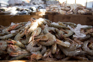 Fresh frozen shrimps on the fish  market