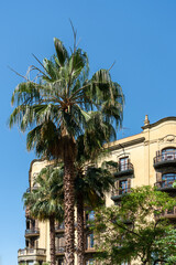 Facade Building Architecture In City Of Barcelona, Spain