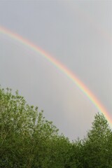 Naklejka premium rainbow in the sky