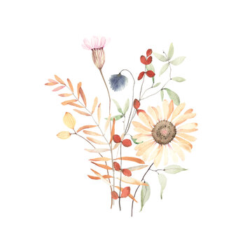 Watercolor floral print with wildflowers, branches and leaves in herbarium style. Dry flowers and plants isolated on white background, ikebana hand painting image, bouquet in pastel colors.