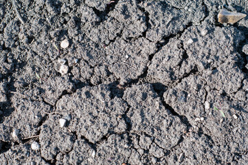 background texture dried cracked earth