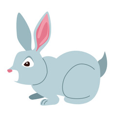 cute gray rabbit