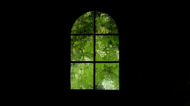 View of nature from the window in the rain. View from the window with drops on the glass and blooming chestnut trees in rainy weather.