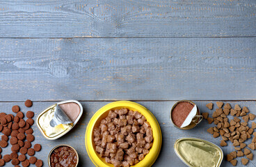 Wet and dry pet food on blue wooden table, flat lay. Space for text