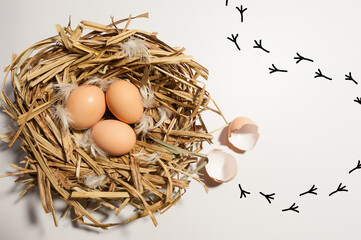 Three eggs in the nest of hays